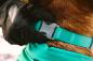 Preview: Ruffwear CONFLUENCE™ Collar Aurora Teal 14-20 inch